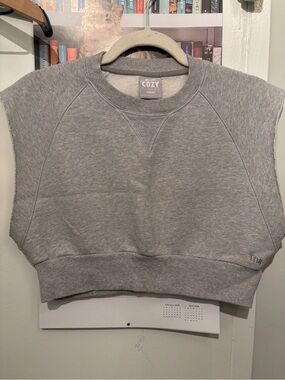 TNA COZY Project Gray Cropped Sleeveless Sweatshirt